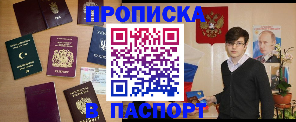прописка 2025 в Курганинске
